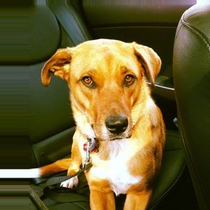 Meet your Posher, Karen